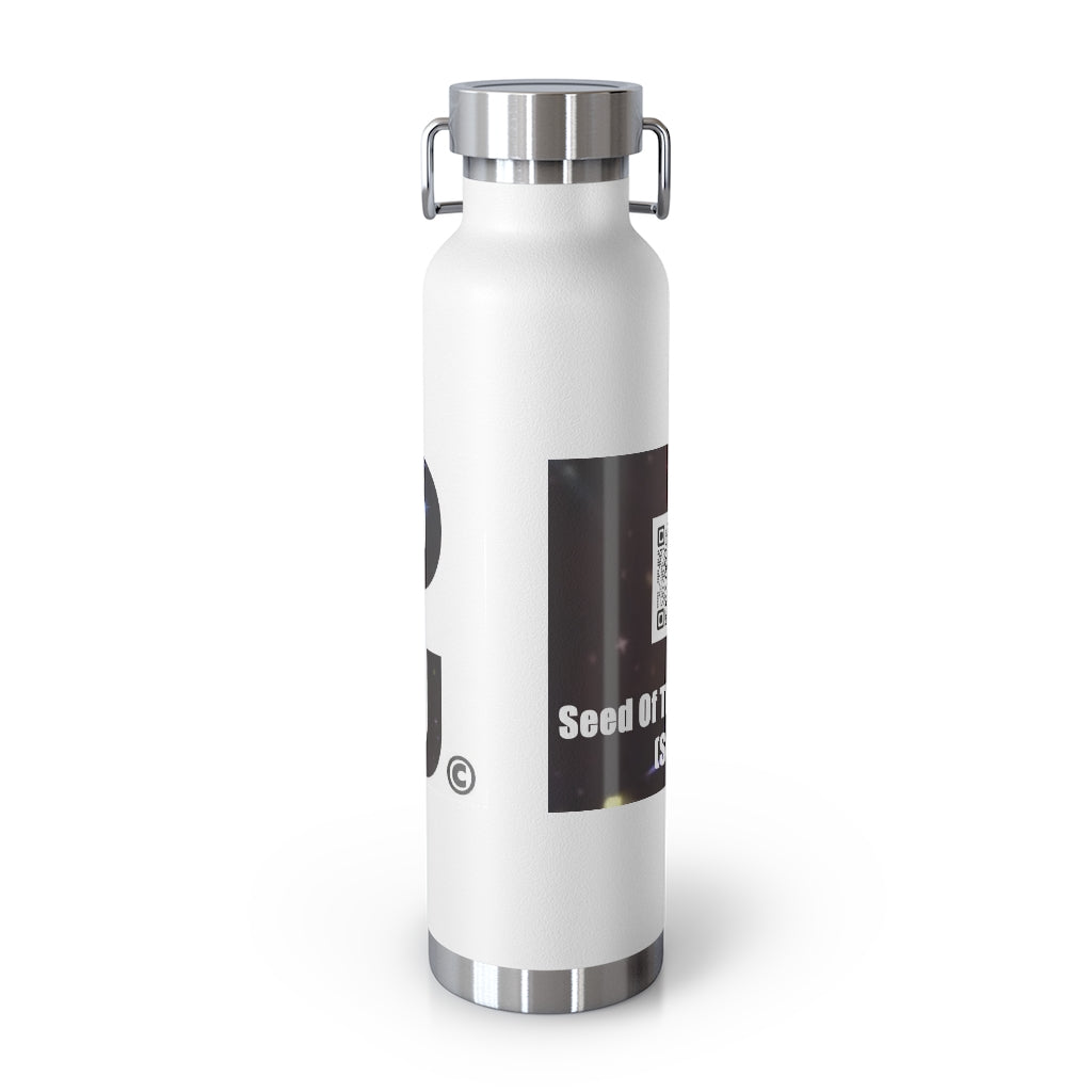 22oz Vacuum Insulated Bottle